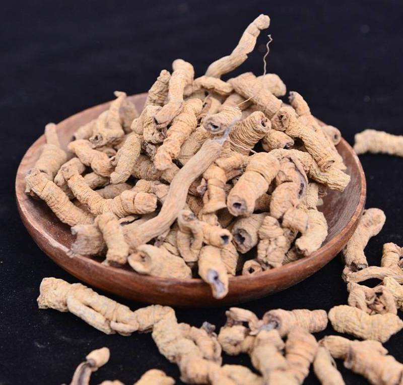 巴戟天巴戟肉【鲁赣药材】现货供应中药材批发