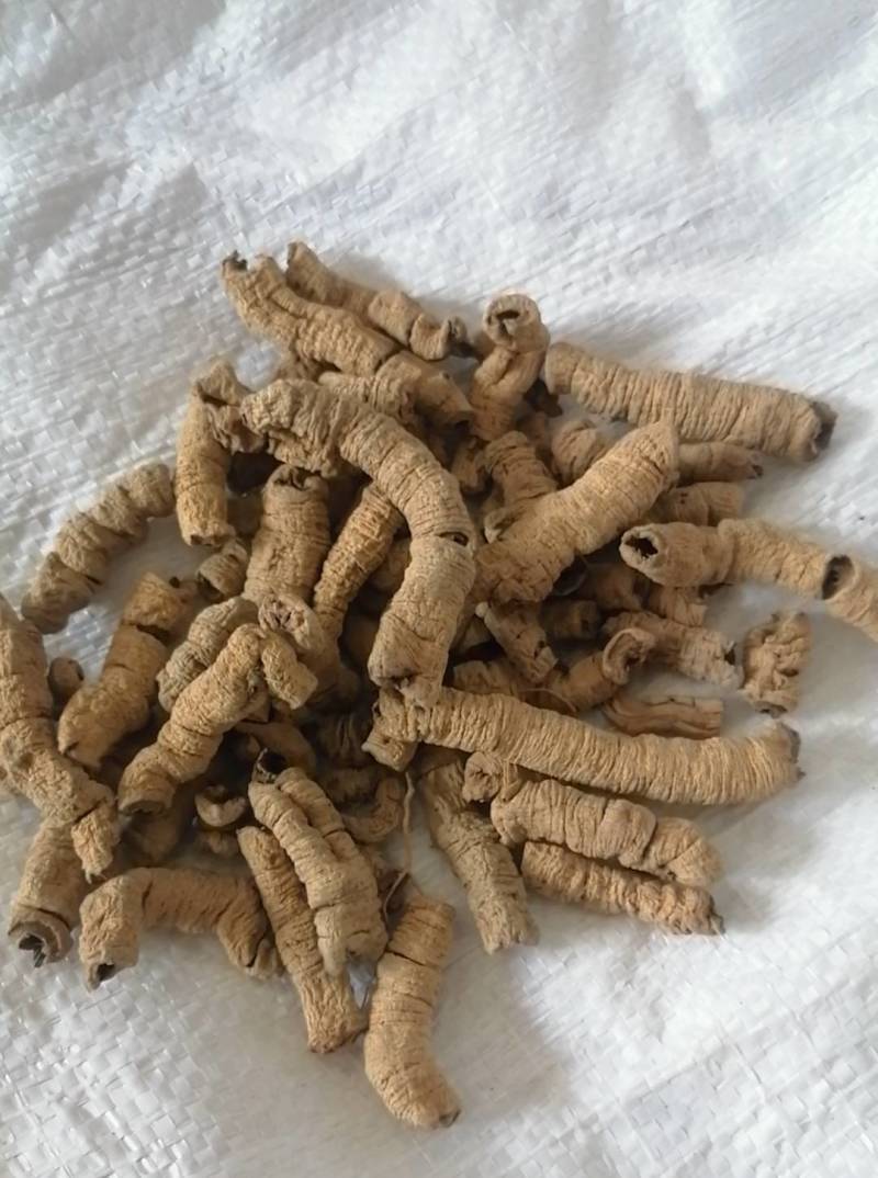 巴戟天巴戟肉【鲁赣药材】现货供应中药材批发