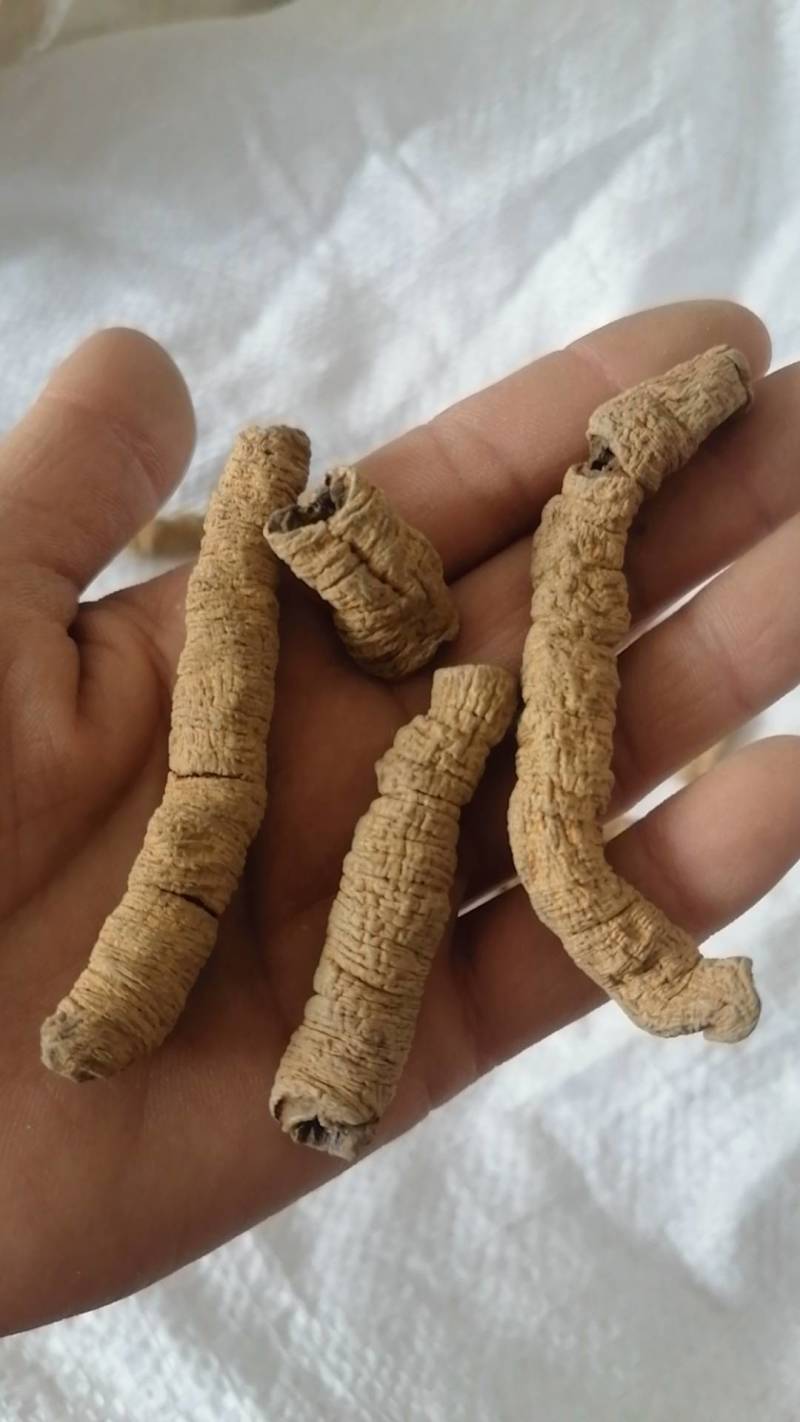 巴戟天巴戟肉【鲁赣药材】现货供应中药材批发
