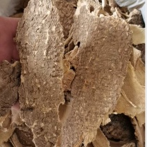 椿皮椿根皮椿皮椿白皮椿臭椿皮椿根冷背中药材带抓药