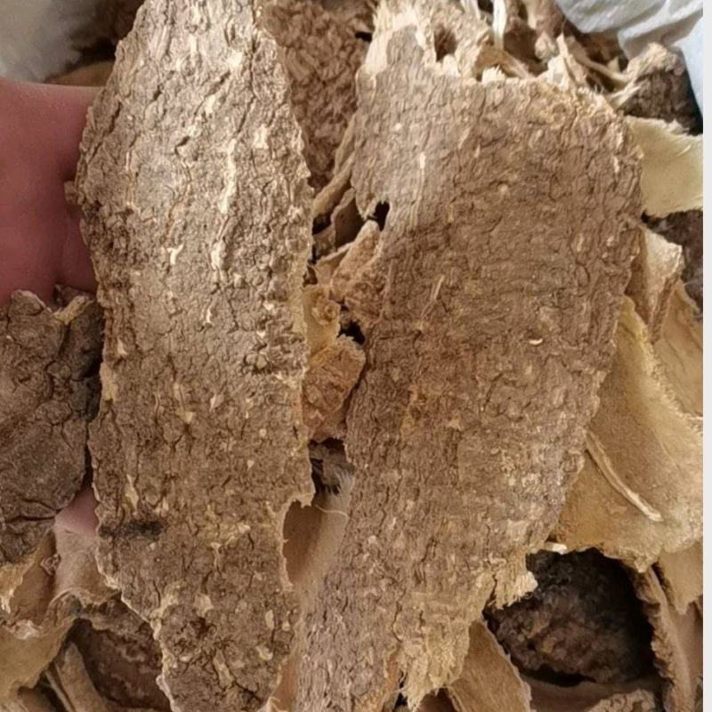 椿皮椿根皮椿皮椿白皮椿臭椿皮椿根冷背中药材带抓药