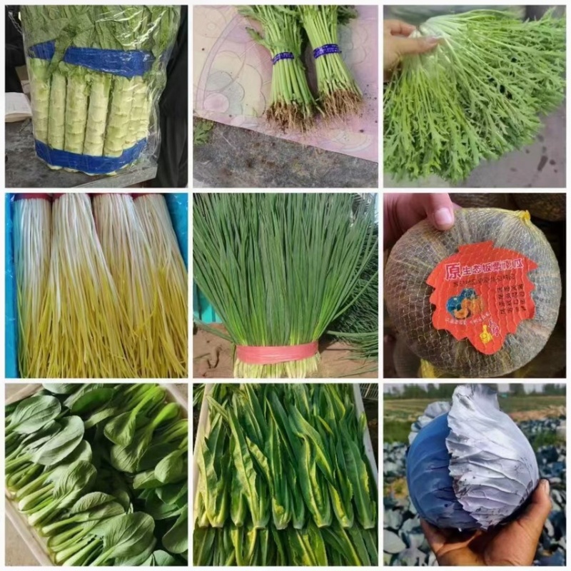 精品芹菜