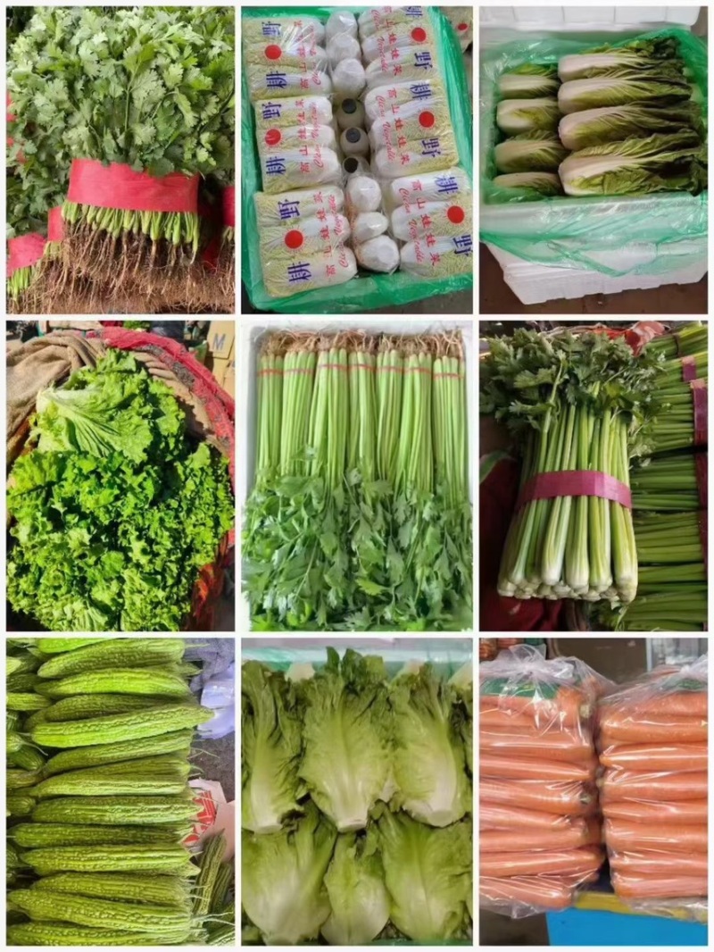 精品芹菜