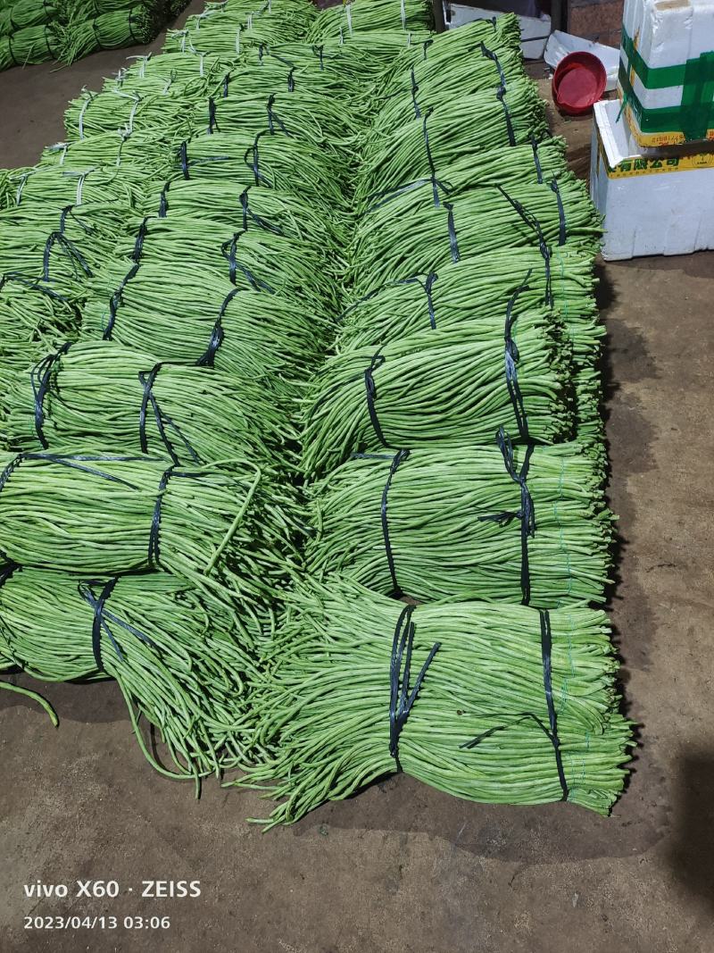 广东湛江青豆角品质保证市场货电商货欢迎电联采购！时价