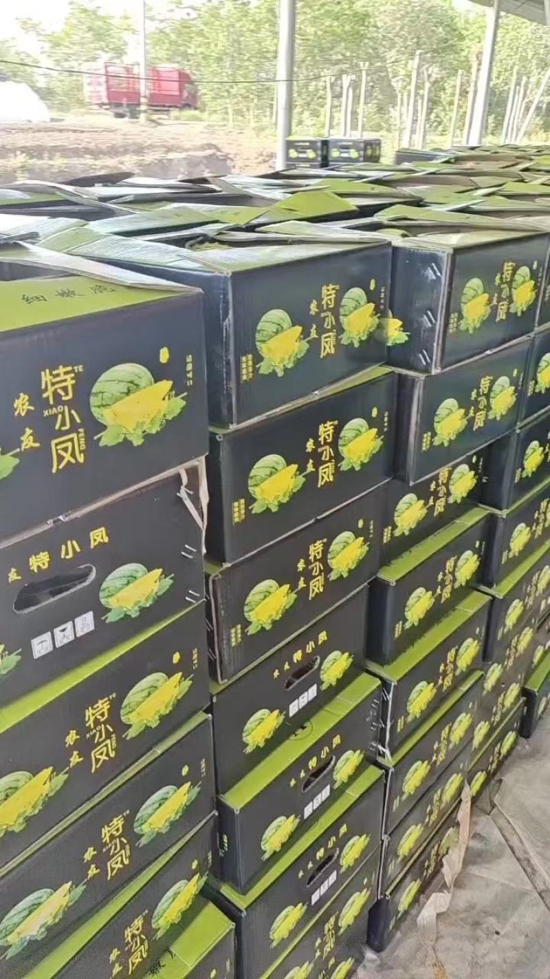 特小凤西瓜脆甜爽口价格不高欢迎咨询