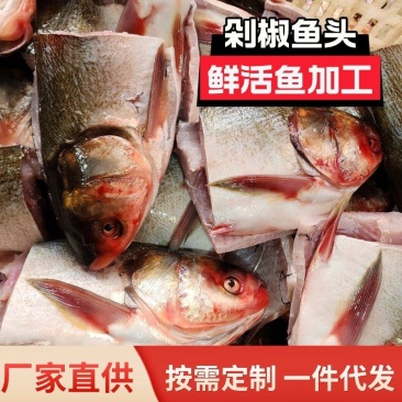 李芹活鱼剁椒鱼头批发白鲢鱼头活鱼加工冷链包邮