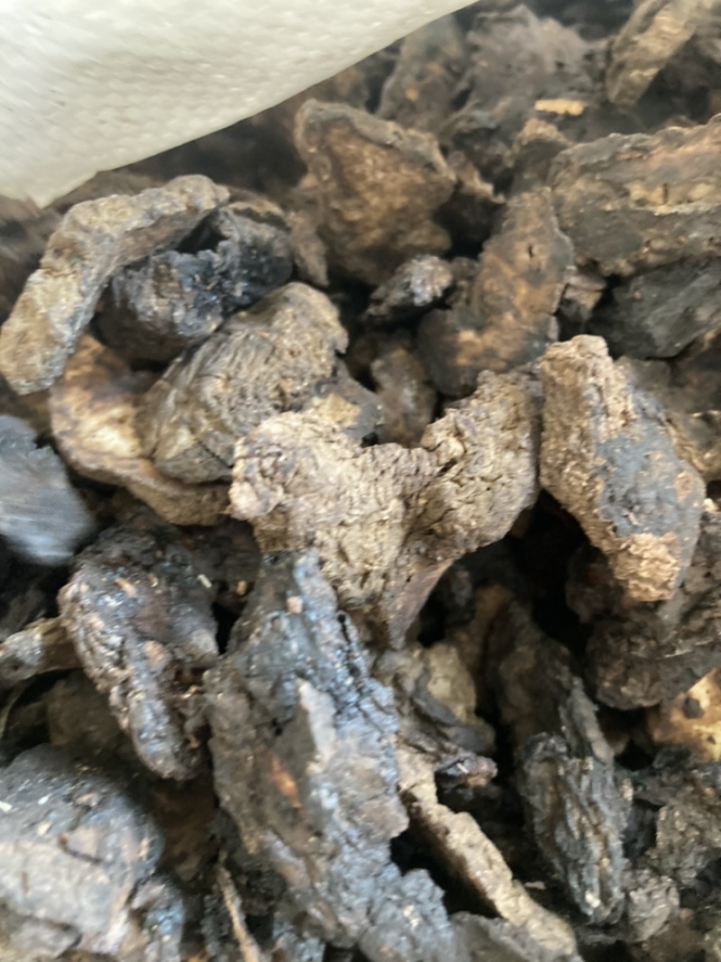 生地生地黄各种规格中药材舜民药业长期供应