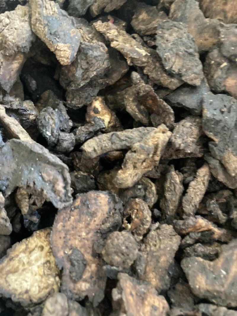 生地生地黄各种规格中药材舜民药业长期供应