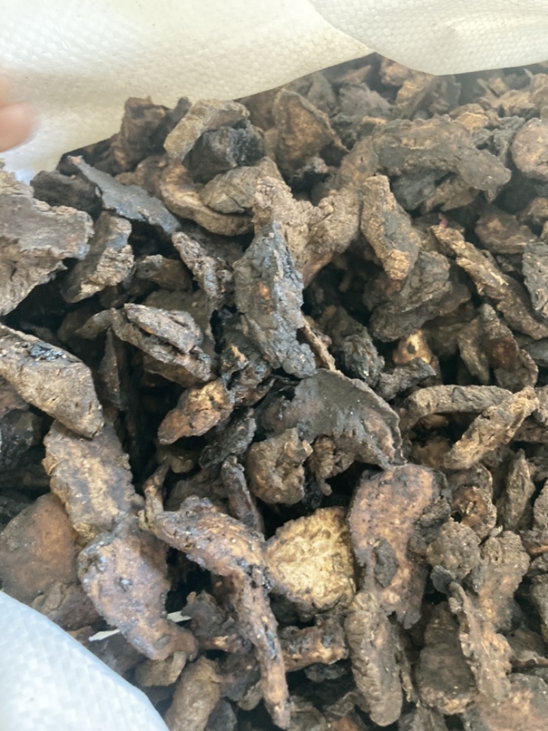 生地生地黄各种规格中药材舜民药业长期供应