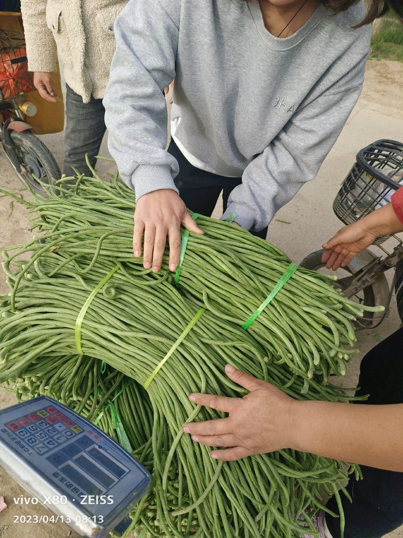 长豆角大量供应，价格不贵，质量非常好，要的老板联系