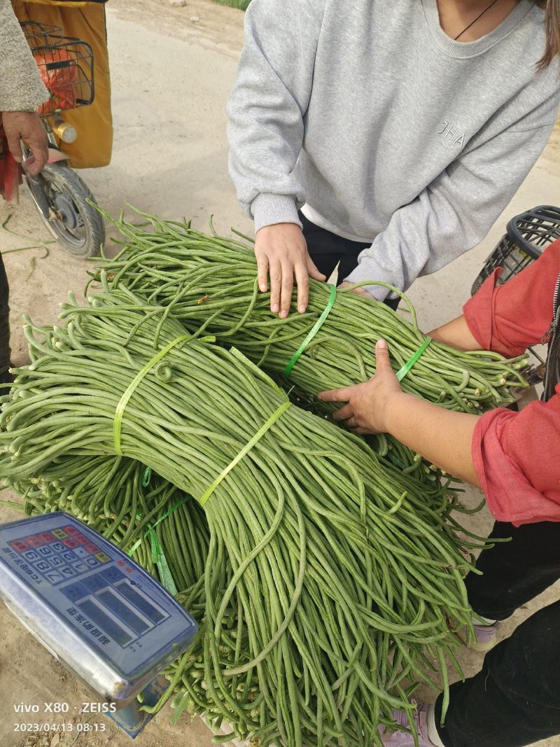 长豆角大量供应，价格不贵，质量非常好，要的老板联系