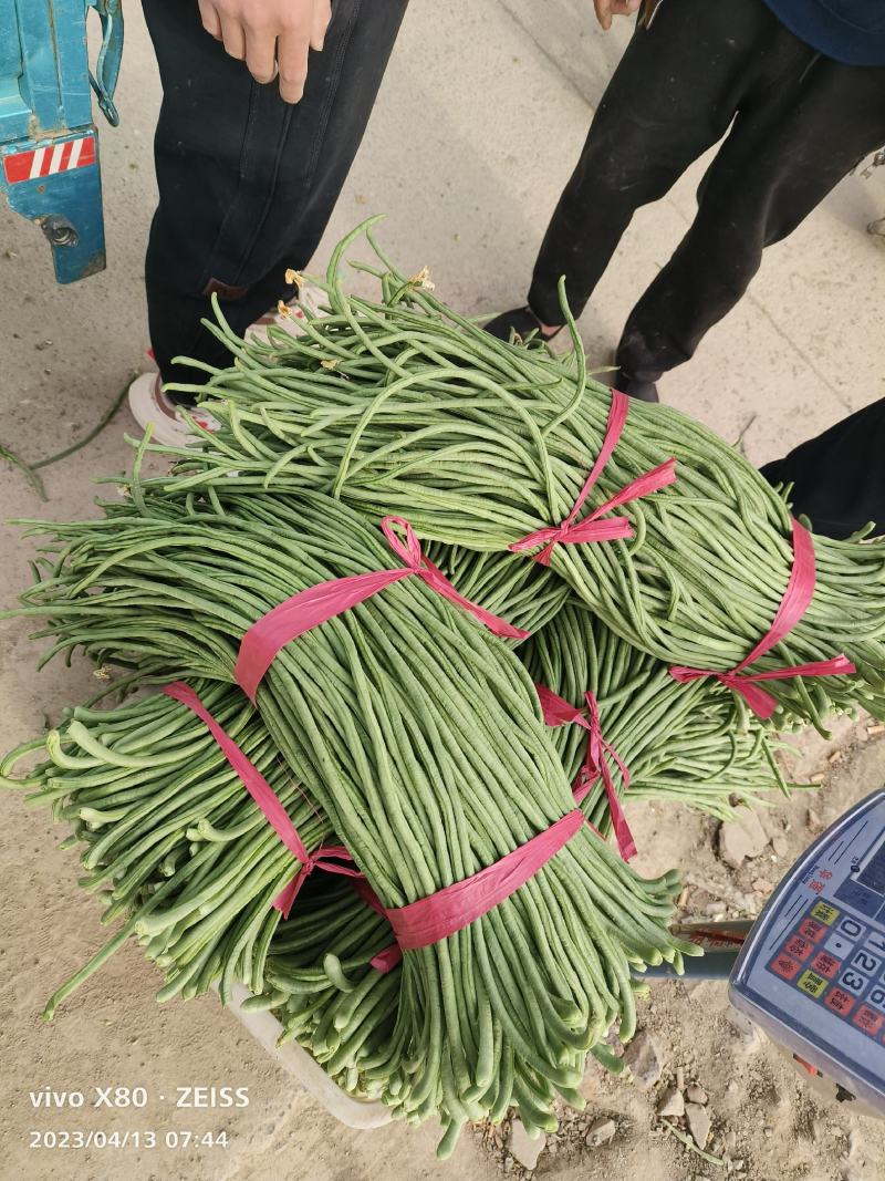 长豆角大量供应，价格不贵，质量非常好，要的老板联系