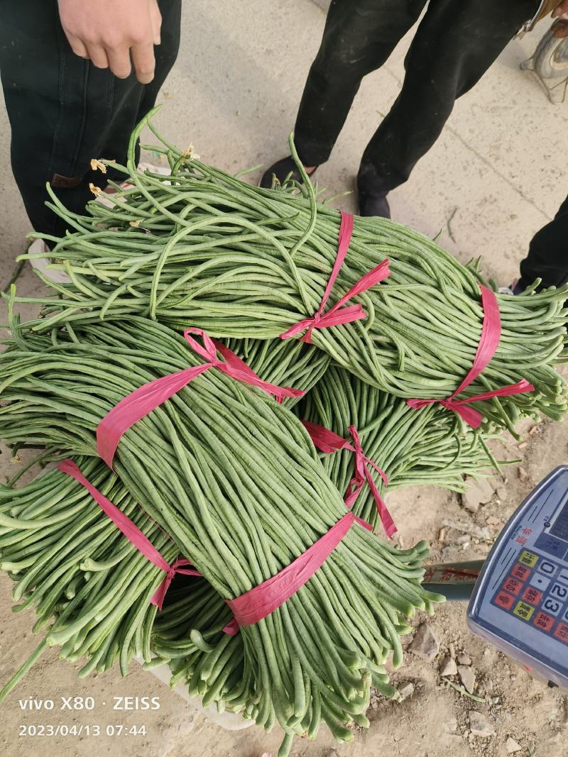 长豆角大量供应，价格不贵，质量非常好，要的老板联系