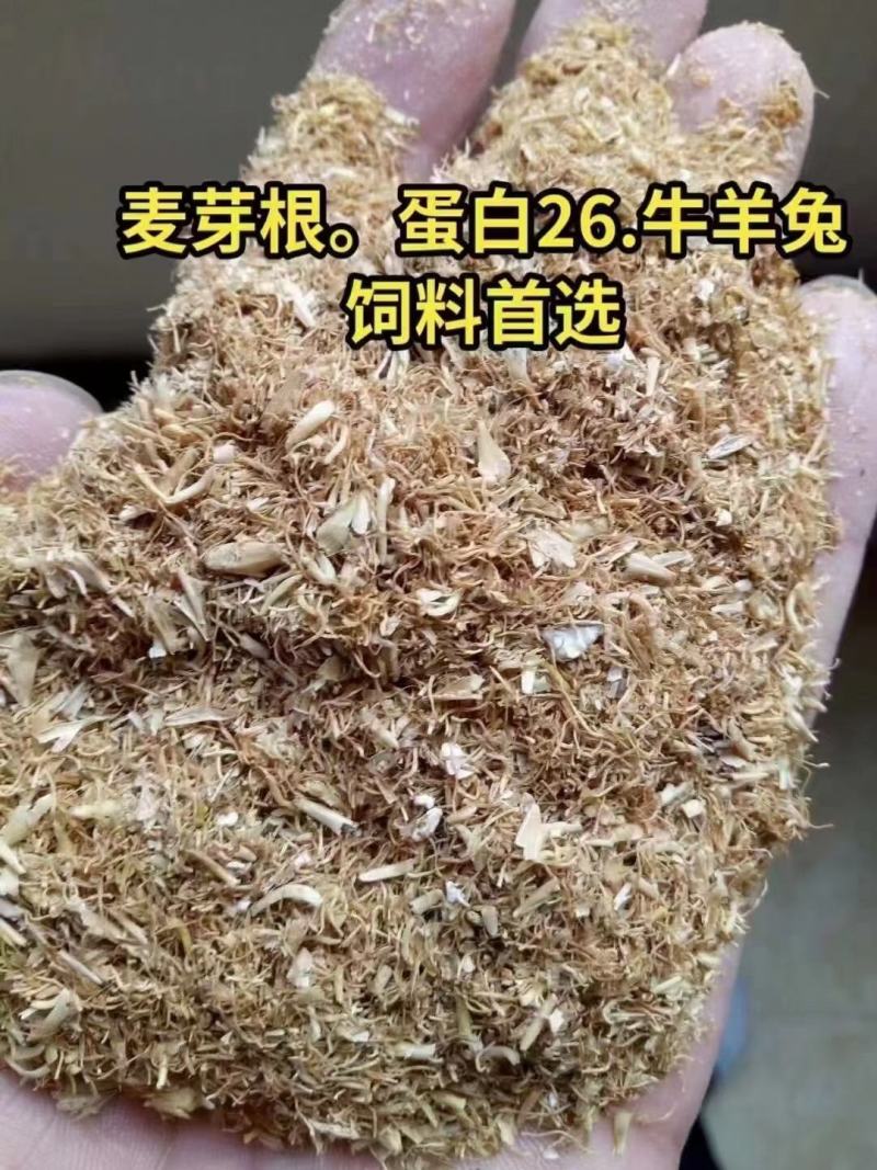 麦芽根蛋白26江苏浙江广东河北山东都有工厂