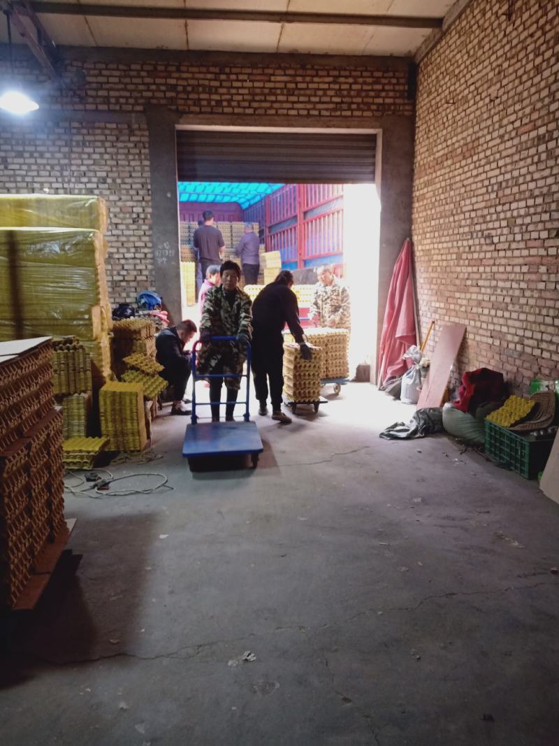 红壳鸡蛋（干净新鲜，无中间商）大中小码，规格全，价格优