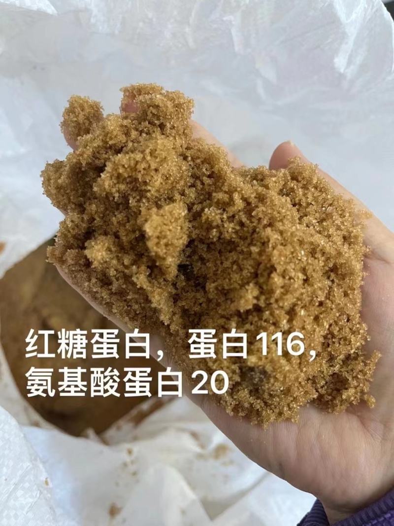 红糖蛋白蛋白含量120氨基酸20