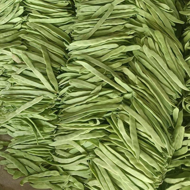精品扁芸豆己大量上市，数量多，基地直发，电商供货。