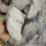 深海鳕鱼片