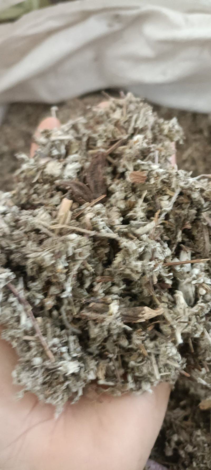 翻白草，产地河南，野生无杂，全国发货，大货供应
