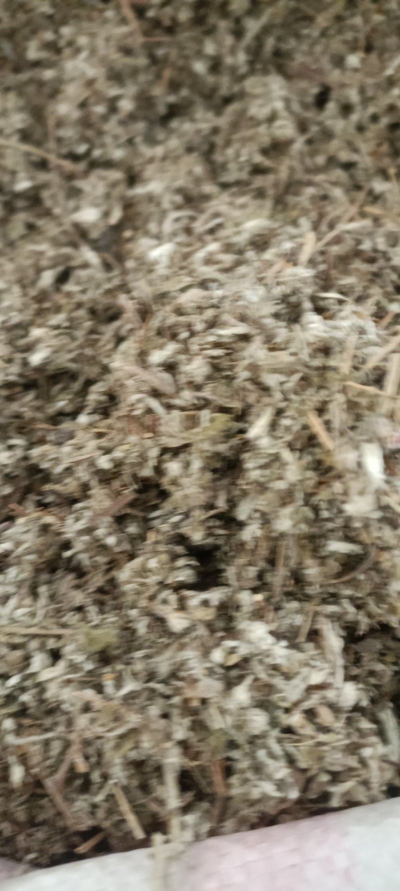 翻白草，产地河南，野生无杂，全国发货，大货供应