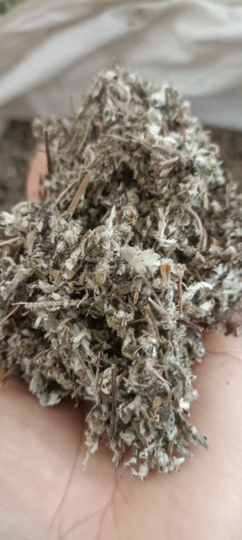 翻白草，产地河南，野生无杂，全国发货，大货供应