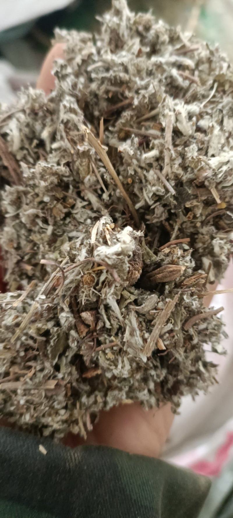 翻白草，产地河南，野生无杂，全国发货，大货供应