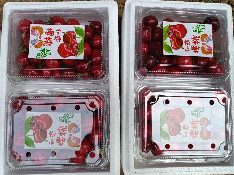 陕西大荔樱桃美早红灯布鲁克斯沙蜜托品种多当季新