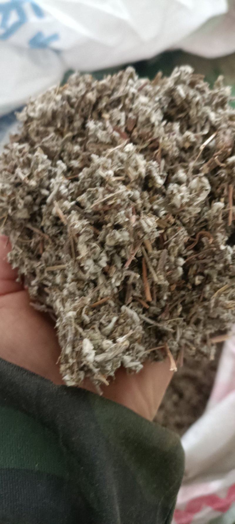 翻白草，产地河南，野生无杂，全国发货，大货供应