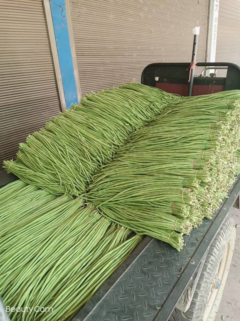 豇豆