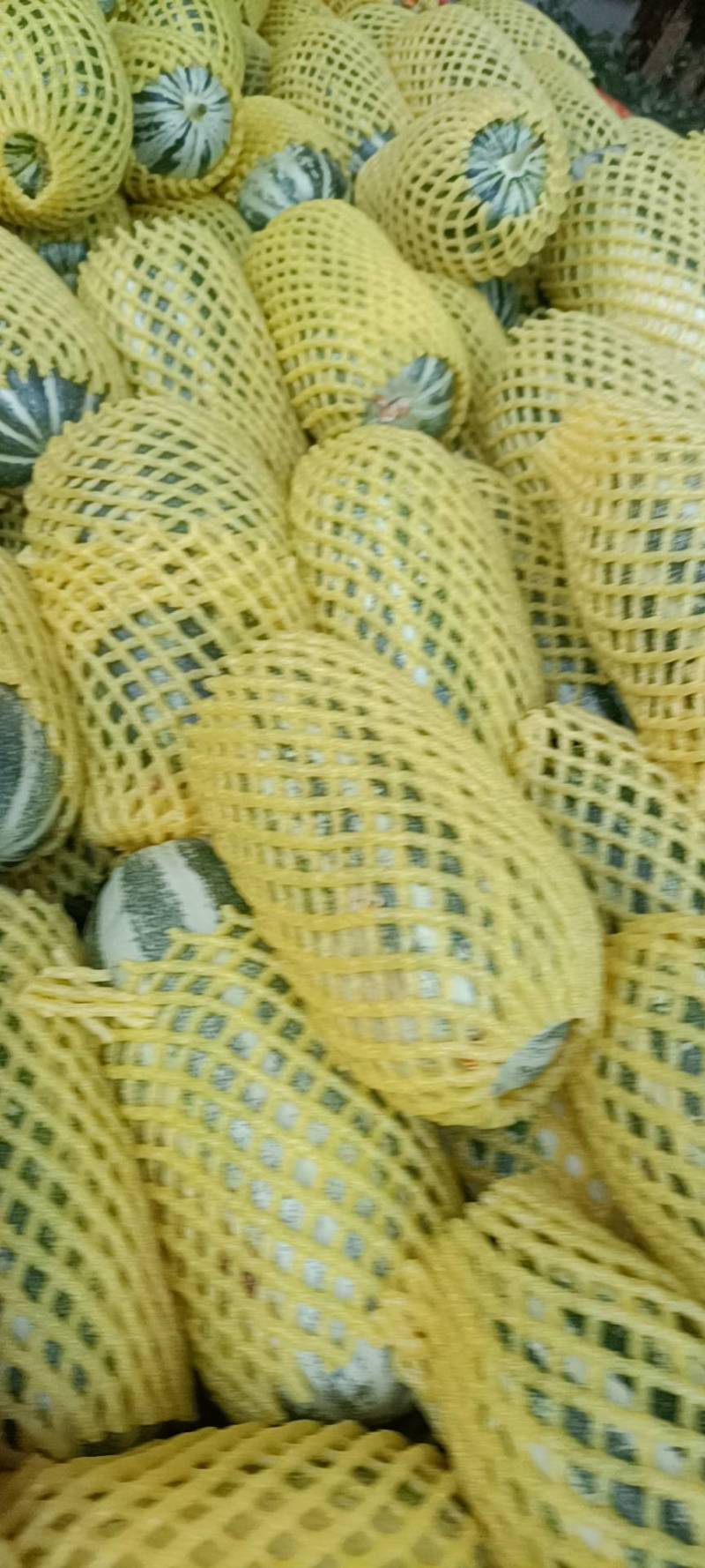 实力供货，甜瓜……来来来…………………………………