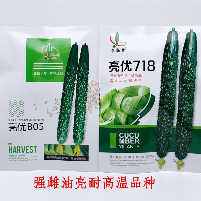 亮优B05亮优718强雌黄瓜种子耐高温露地绿肉黄瓜种原装