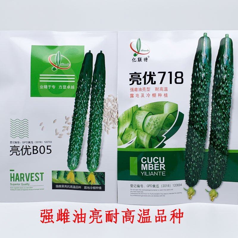 亮优B05亮优718强雌黄瓜种子耐高温露地绿肉黄瓜种原装