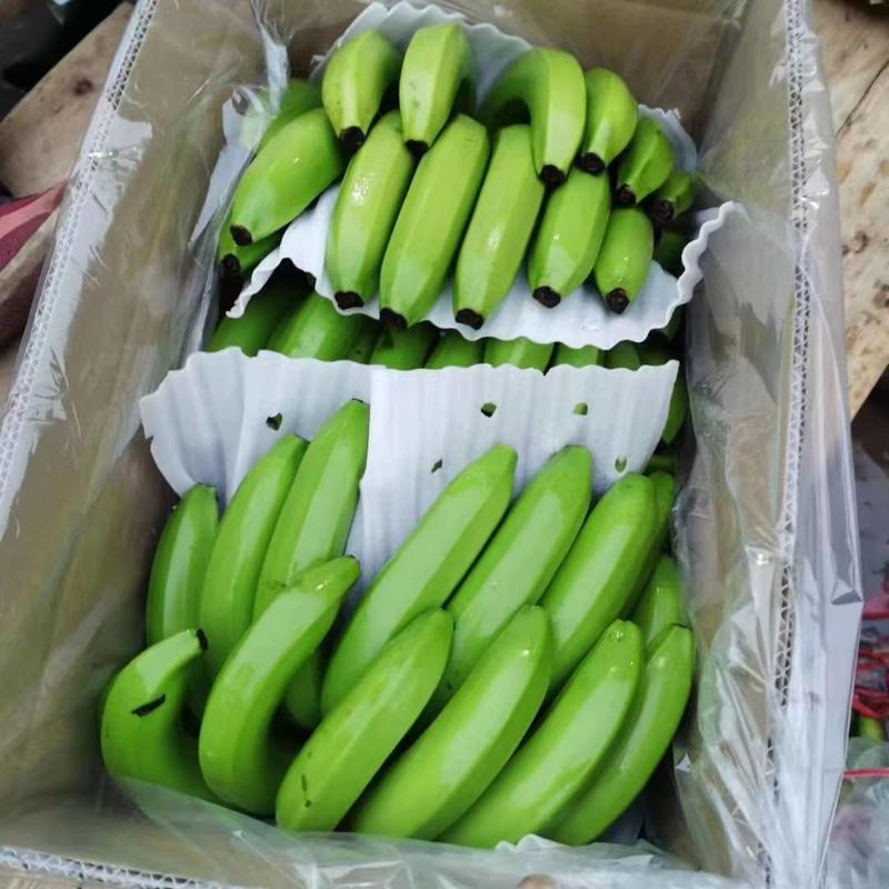 香蕉云南河香蕉广西香蕉，不黑心不硬心，量大质优整车发货