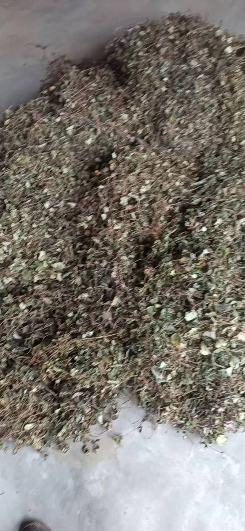 野生金钱草全干货无泥土无杂质剑阁货源直发价格可谈