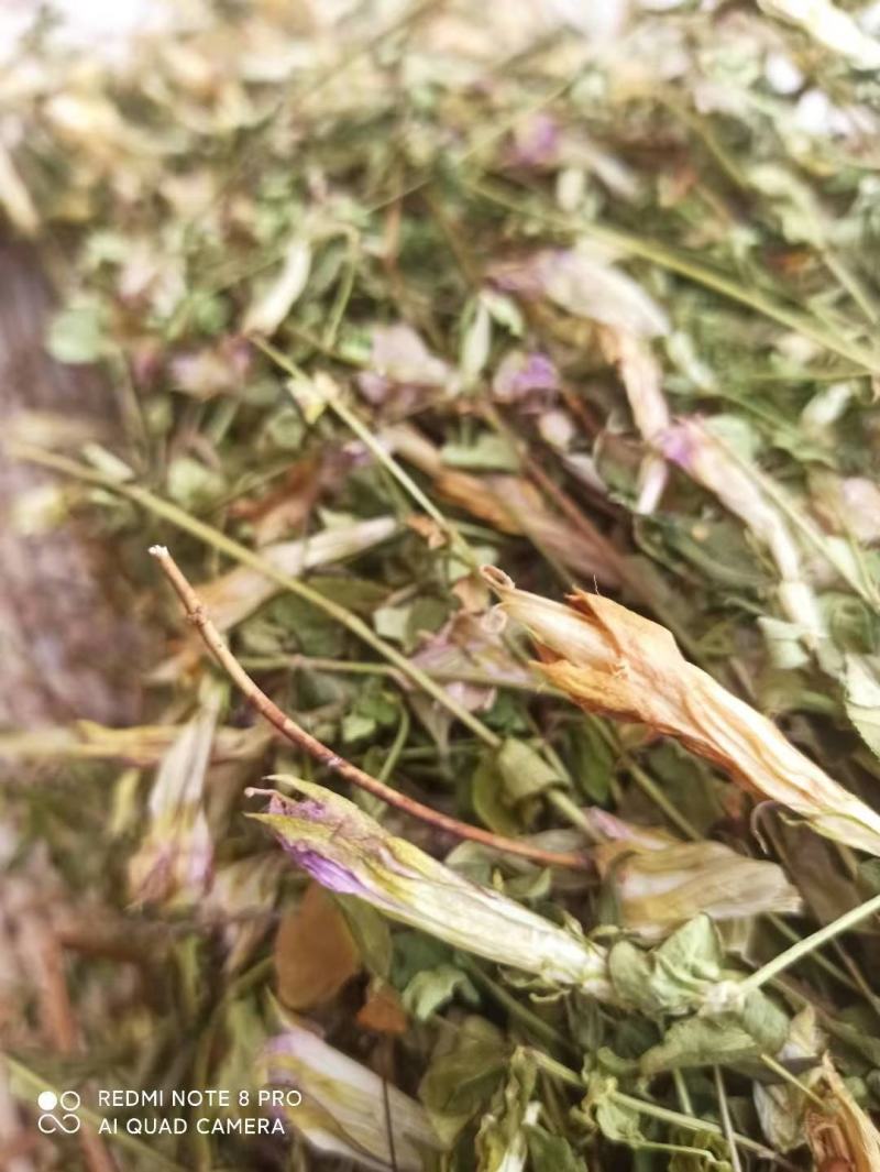 龙胆草又叫山地龙产地直发一手货源质量上乘量大优惠