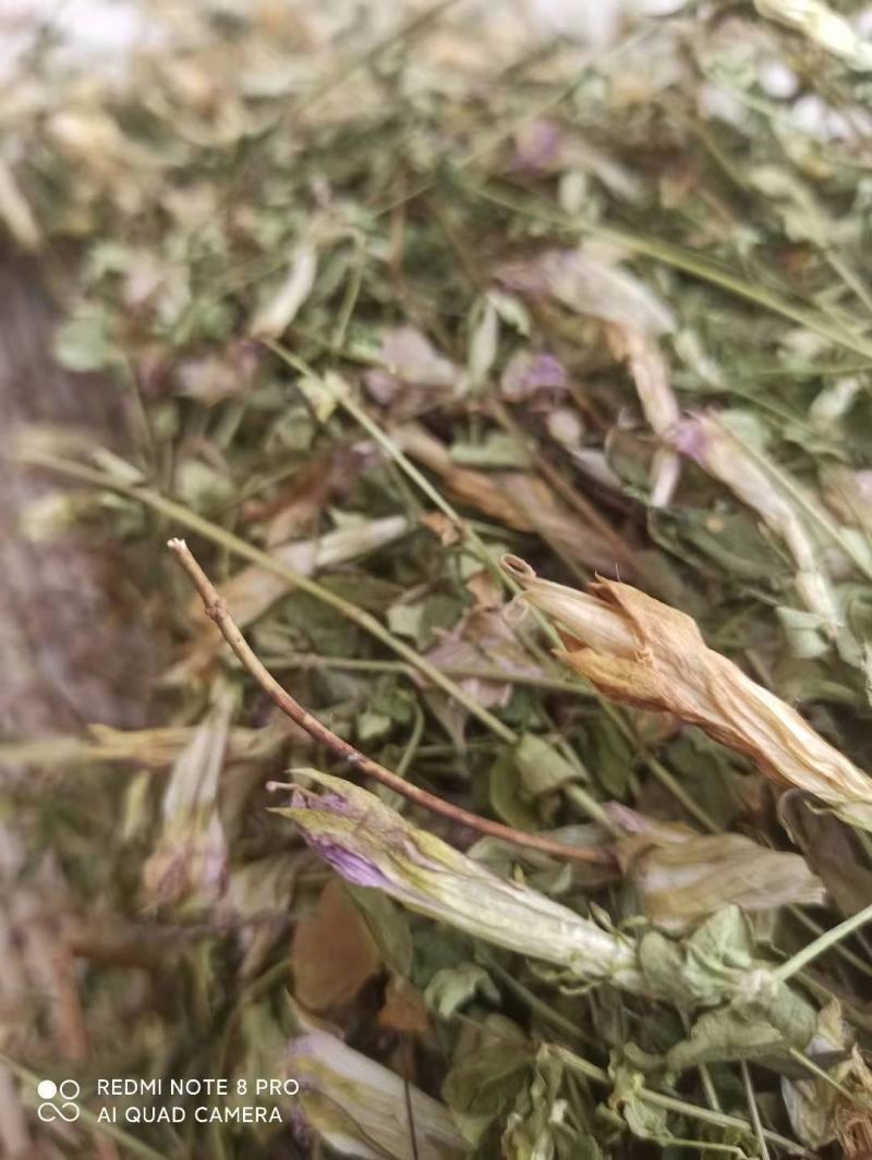 龙胆草又叫山地龙产地直发一手货源质量上乘量大优惠