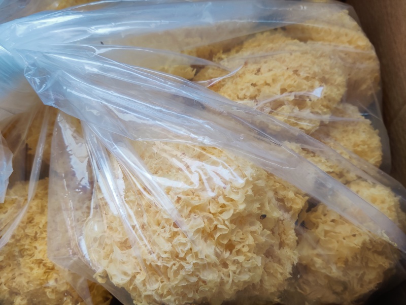 福建银耳干货批发白木耳雪耳农产品特产丑耳银耳莲子羹