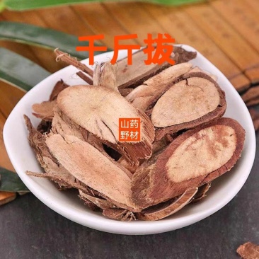 云南野生中药材千斤拔千金拔一条根老鼠尾