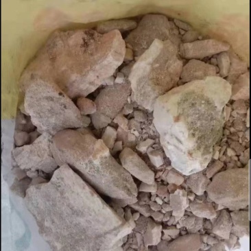 化骨龙石大量出货