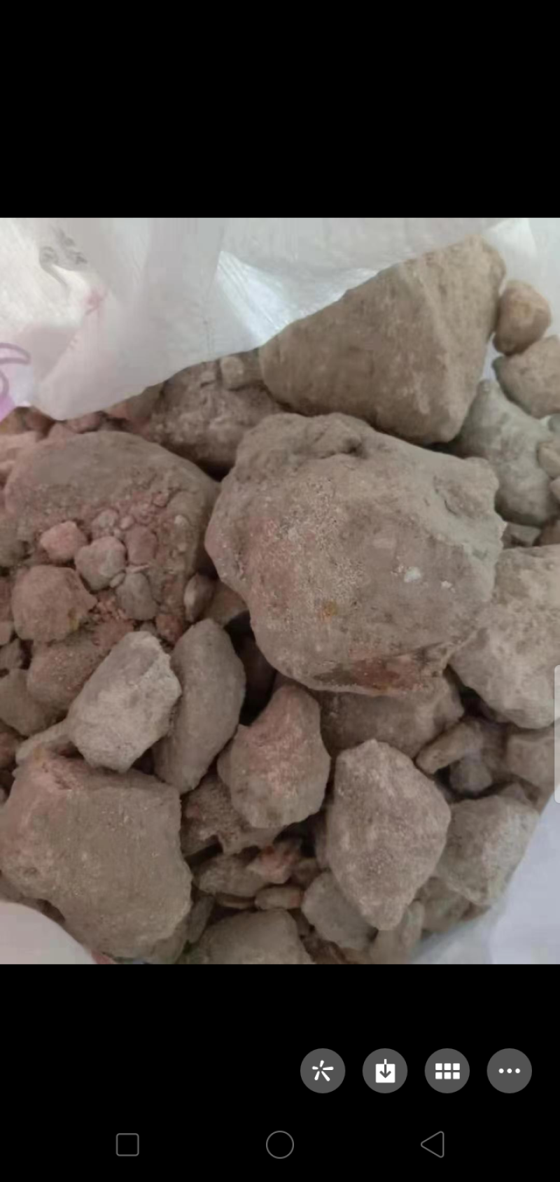 化骨龙石大量出货