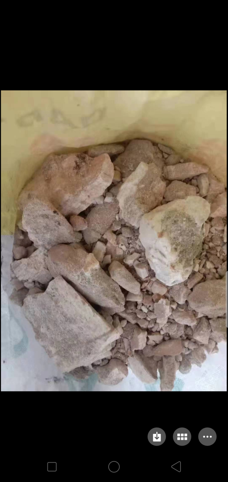 化骨龙石大量出货
