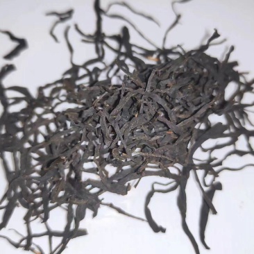 乌牛早红茶