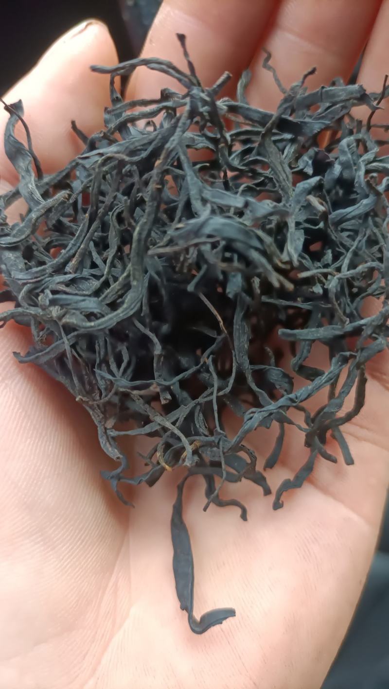 乌牛早红茶
