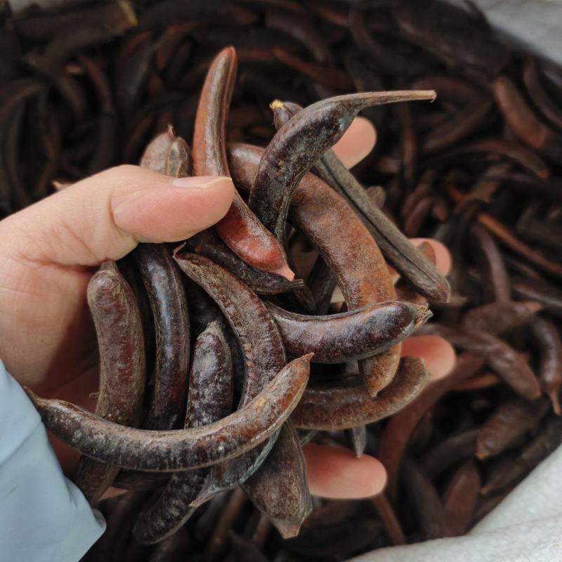 中药材皂荚猪牙皂新货无硫货源充足批发