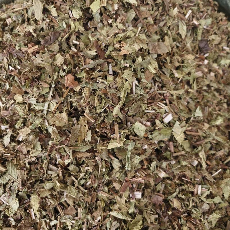 中药材泽兰新货货源充足批发零售，保证质量