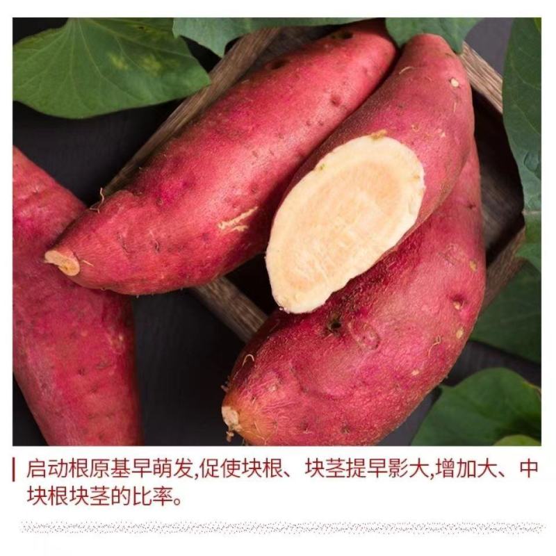 60%氯化胆碱甘薯生长调节