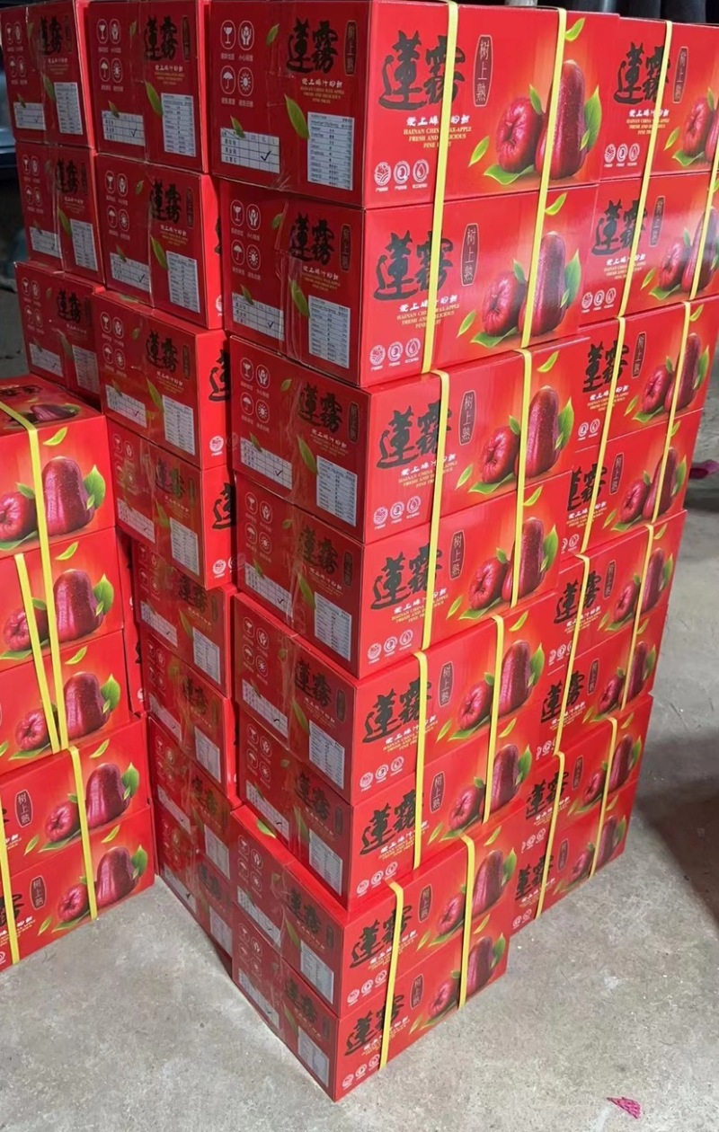 海南大叶红宝石莲雾，产地直供，对接市场，社区团购