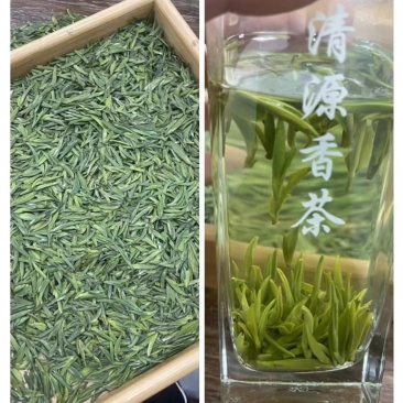 蒙顶山绿茶