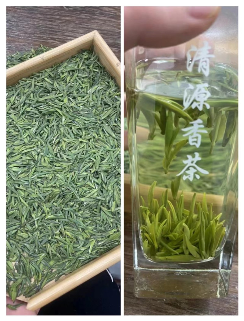 蒙顶山绿茶