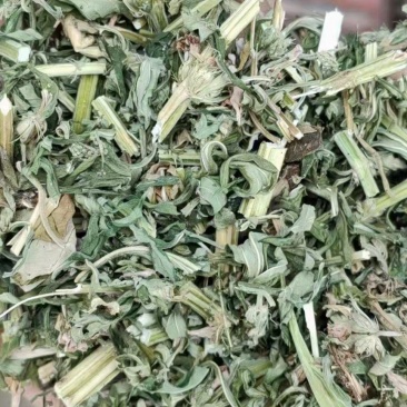 益母草新货产地鲜货干货